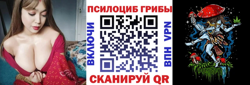купить закладку  Нефтекумск  Галлюциногенные грибы GOLDEN TEACHER 